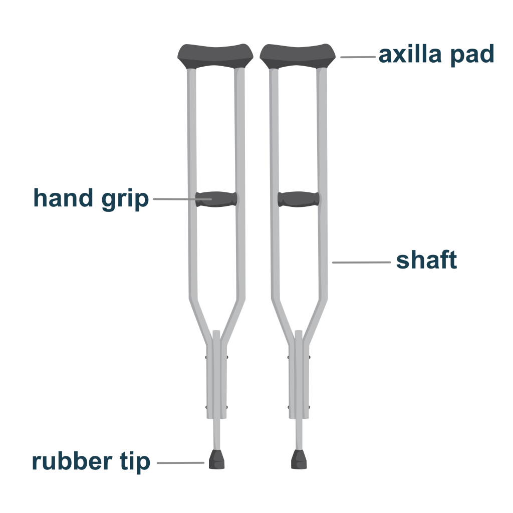 Labelled diagram of an axilla crutch