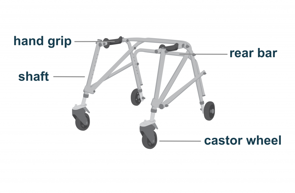 labelled posterior walker