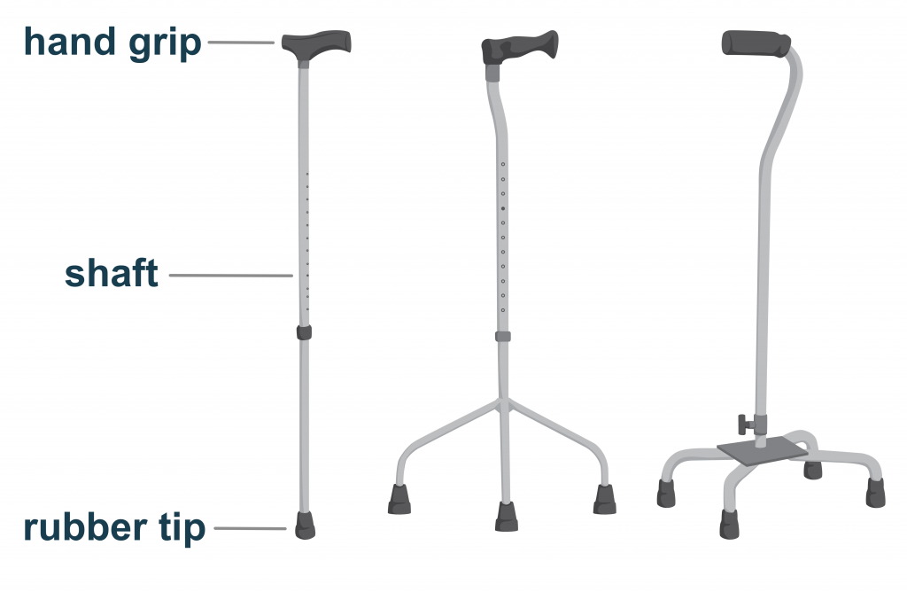labelled walking sticks