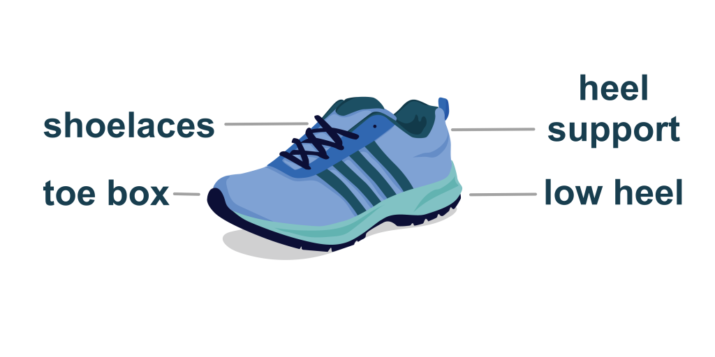 sport shoe with shoelaces, toe box, heel support and low heel labelled