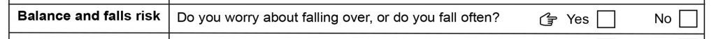Screenshot of the assessment form showing the section on risk of fall.