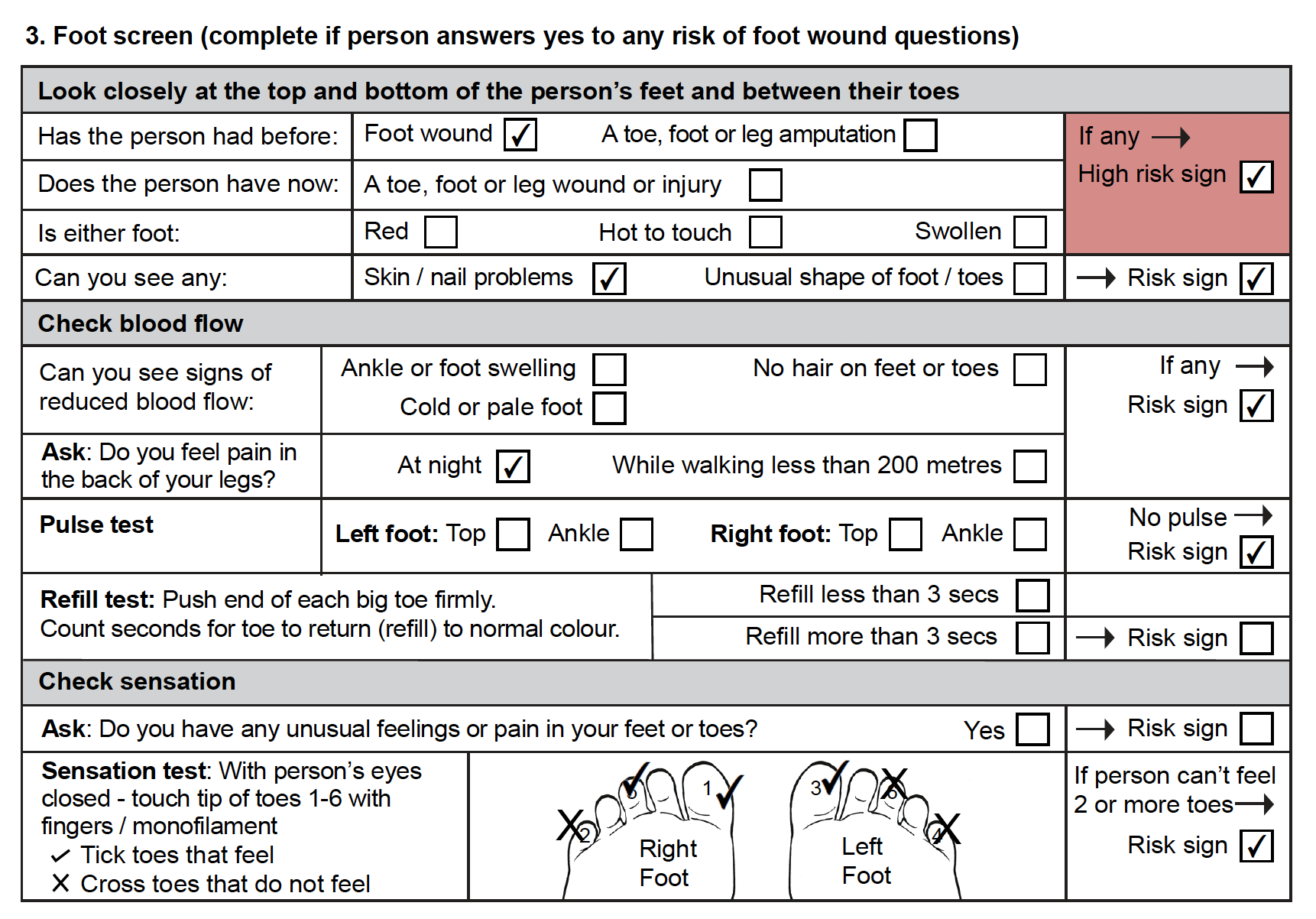 Section 3 of the TAP Mobility assistive products screening form for Jensen. He has one high risk sign and four risk signs.
