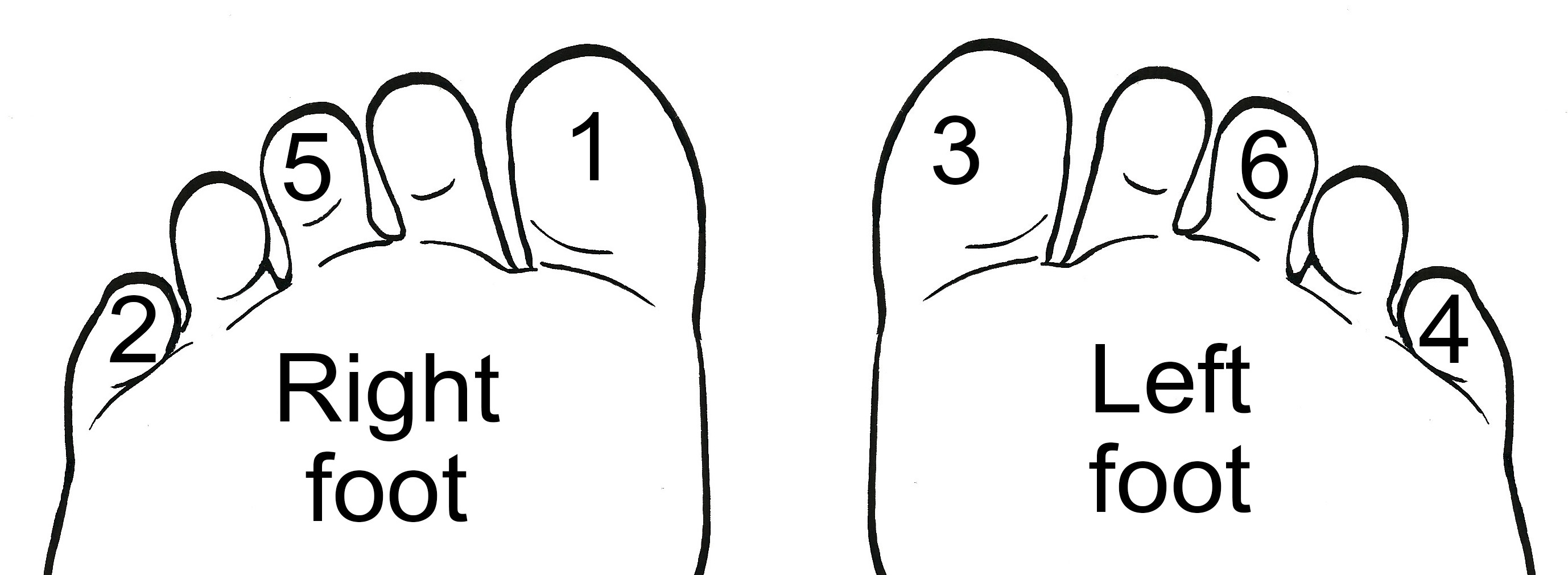 The bottom of a pair of feet with toes numbered.The right foot has the big toe numbered one, the little toe numbered two and the middle toe numbered five. The left foot has the big toe numbered three, the little toe numbered four and the middle toe numbered six.