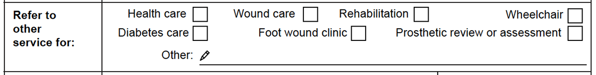 Refer to other service part of the Plan section of the form.