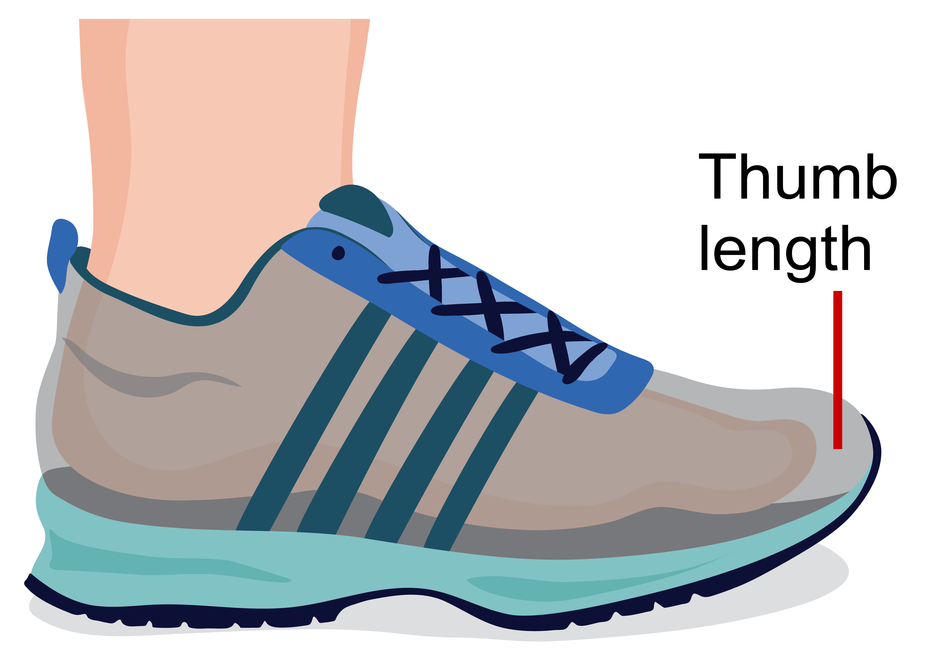 A foot inside a shoe shown from the side. The shoe is see through so we can see the space between the toes and the end of the shoe. This space is labelled thumb length.