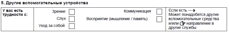 Раздел формы "Другие виды вспомогательных средств".