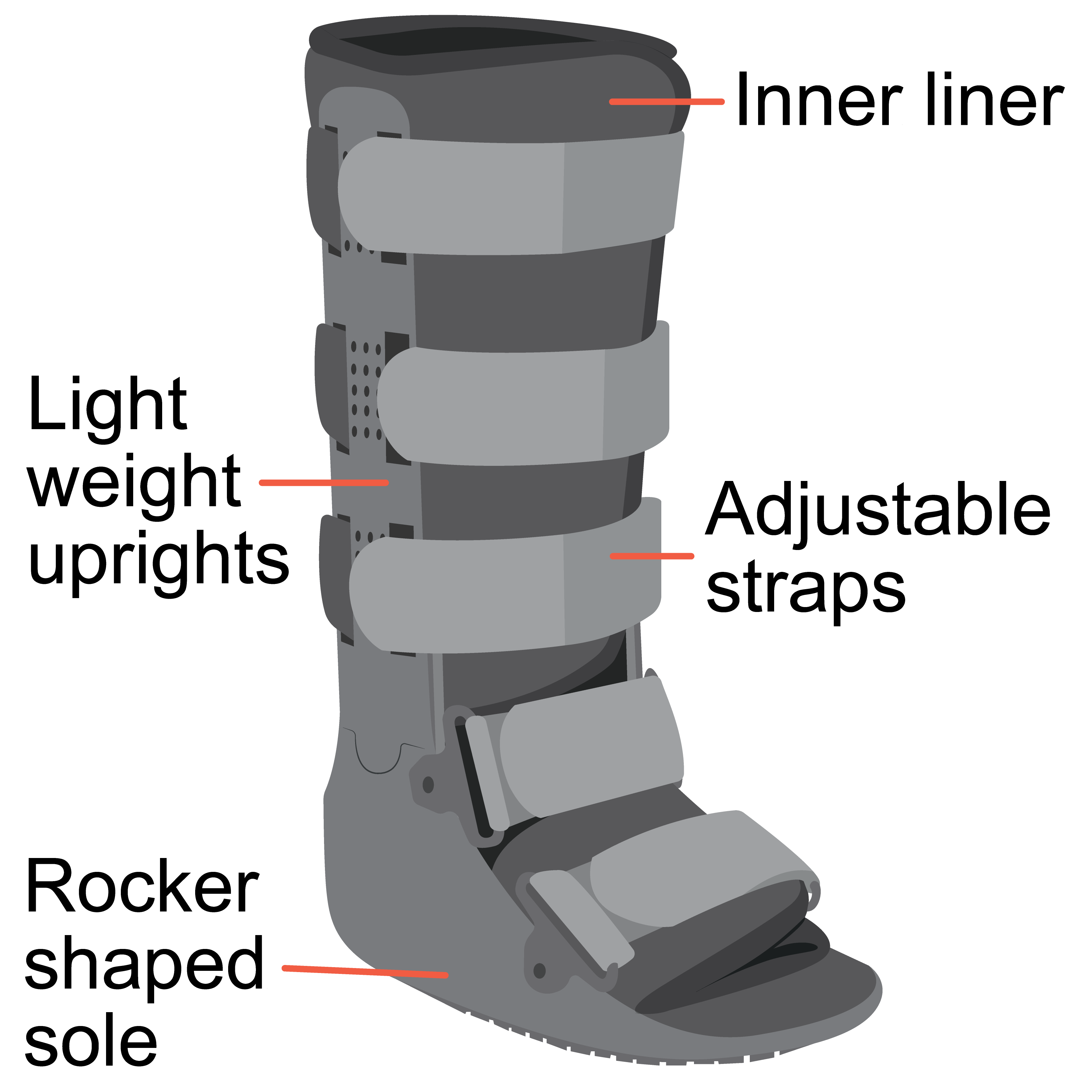 Rigid removable boot with parts labelled inner liner, light weight uprights, adjustable straps and rocker shaped sole