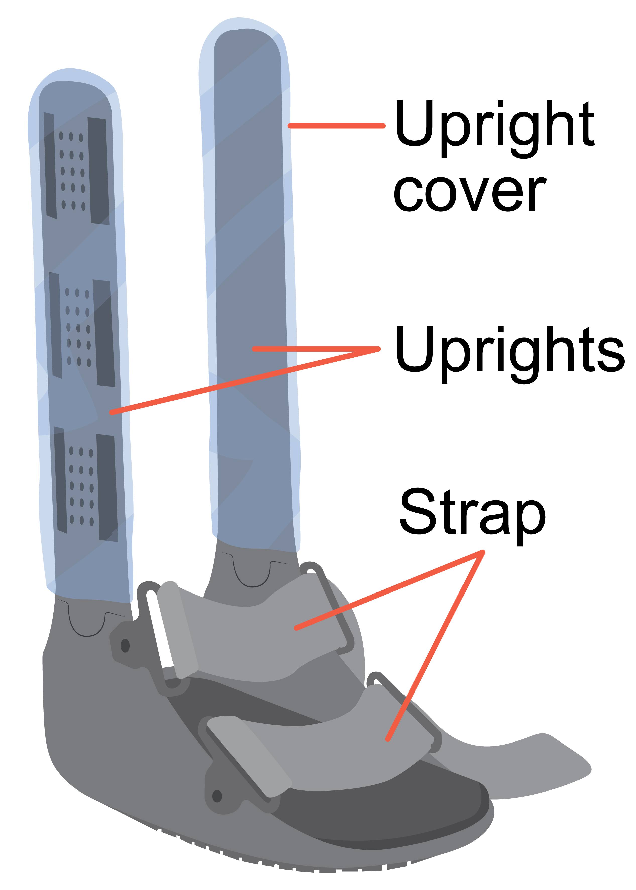 Rigid removable boot liner removed labelled