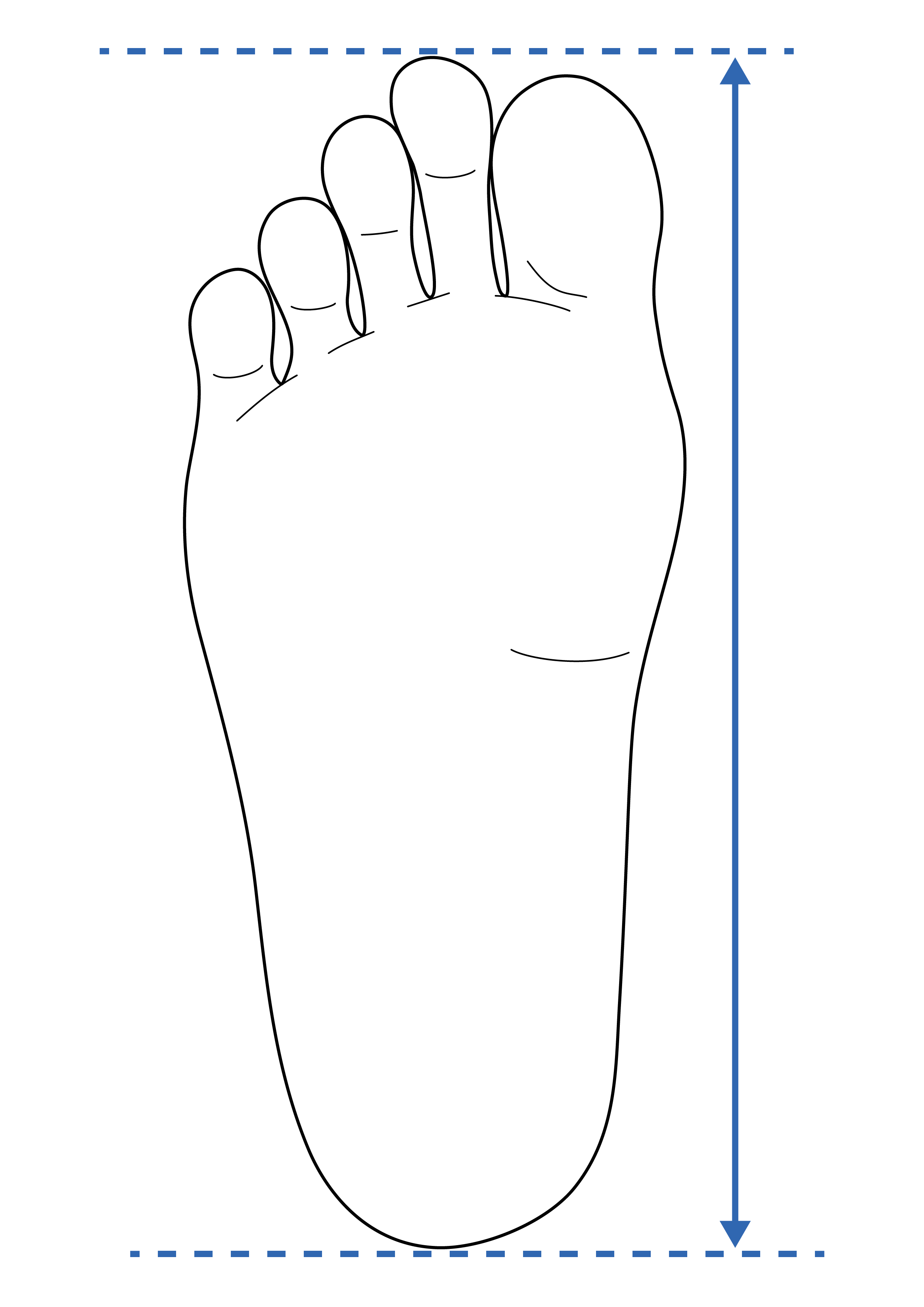 A foot with a line drawing from the tallest toe tip to the end of the heel.
