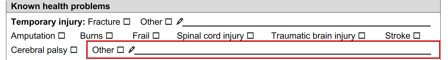 Known health problems part of assessment form with ‘other’ circled.