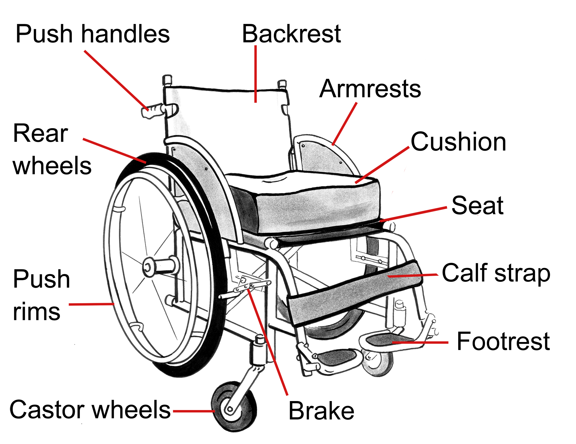 Wheelchair with parts labelled footrest, calf strap, seat, cushion, armrests, backrest, push handles, rear wheels, push rims, castor wheels and brake.