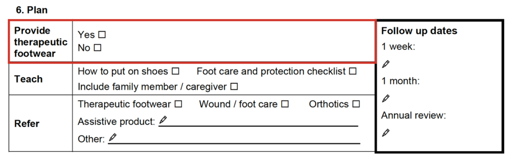 Provide therapeutic footwear section of the assessment form.