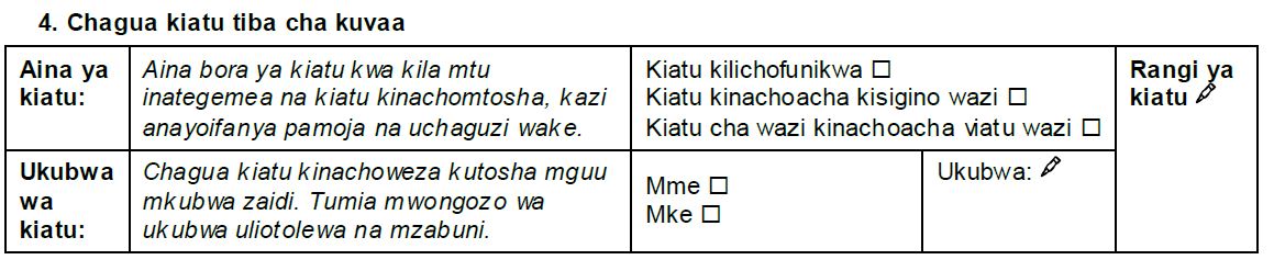 Sehemu ya fomu inayohusu kuchagua viatu tiba unavyohitaji kujaribu.
