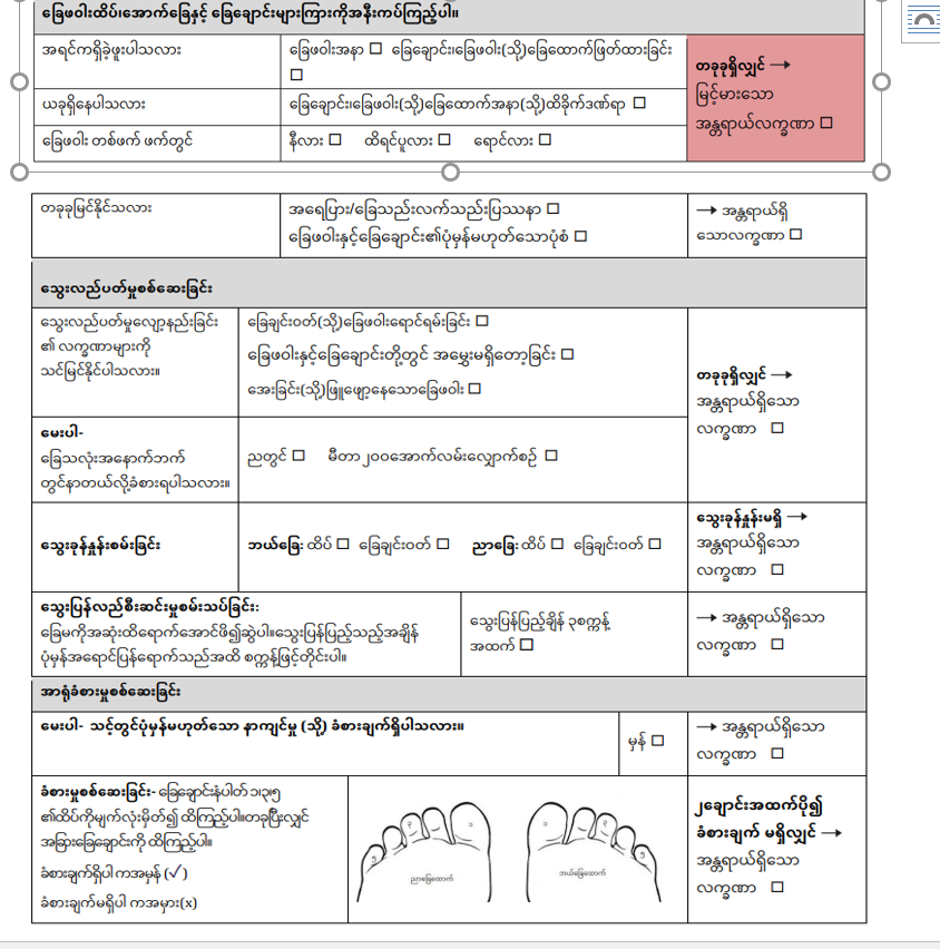 ခြေဖဝါးစစ်ဆေးမှုပုံစံ။