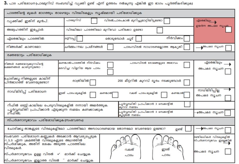 ഫോമിന്‍റെ പാദ സ്ക്രീൻ വിഭാഗം.