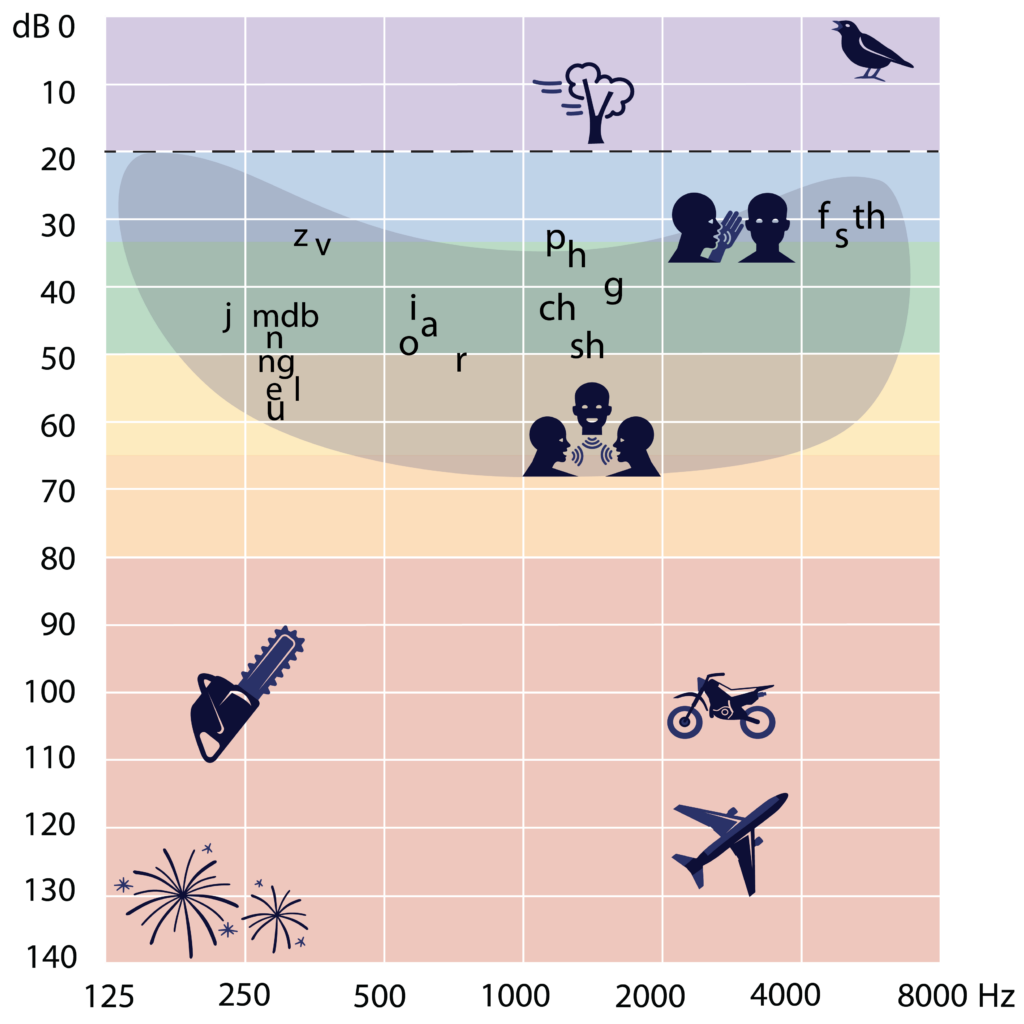 An audiogram graph showing a grey area in a shape of a banana between the area of 20 dB to 65 dB covering 125 Hz to 8000 Hz. Examples of the different speech sounds are positioned in different parts of the speech banana, across low, medium and high frequencies.