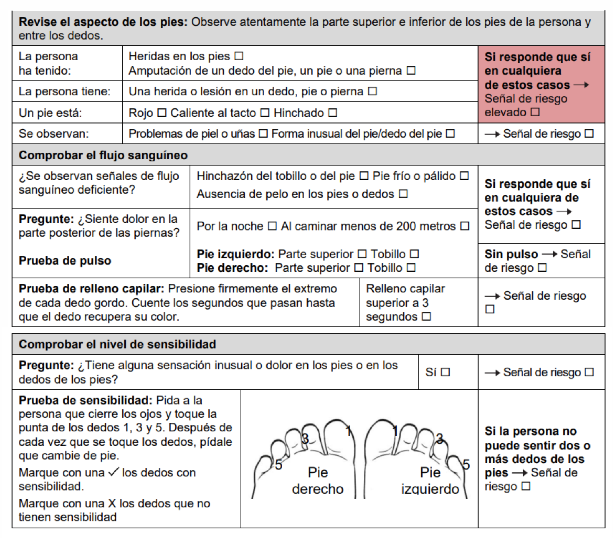 Sección del formulario de exploración de pies.