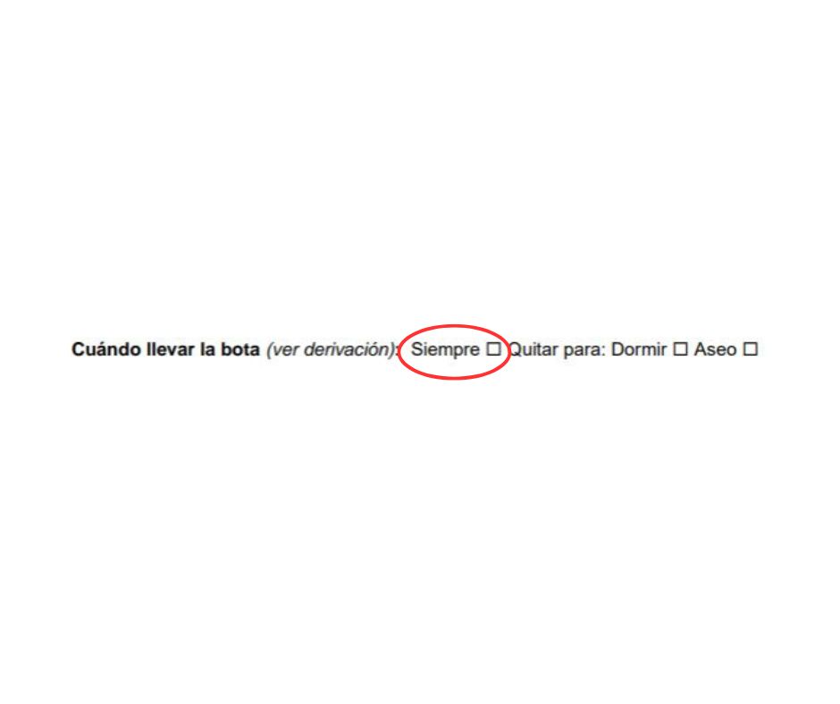 Sección del formulario de evaluación sobre cuándo utilizarla con "siempre" marcada con un círculo
